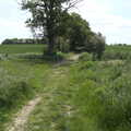 On the path leading from Water Mill Lane, A Quest for the Fabled Swimming Spot, Hoxne, Suffolk - 29th May 2023