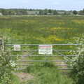 A watermeadow in flower, A Quest for the Fabled Swimming Spot, Hoxne, Suffolk - 29th May 2023