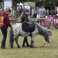 A spotty pony gets a tail plait, The Suffolk Youth Wind Orchestra at the Suffolk Show, Trinity Park - 1st June 2023