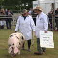It's time for the pig-of-the-year finals, The Suffolk Youth Wind Orchestra at the Suffolk Show, Trinity Park - 1st June 2023