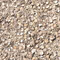 There's a path made entirely of shells, Forest Park Camping and a Walk to Cromer, Northrepps, Norfolk - 10th June 2023
