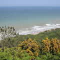 It's an almost tropical view, from high up, Forest Park Camping and a Walk to Cromer, Northrepps, Norfolk - 10th June 2023