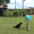 Fred tries out some sort of dog training, The GSB and Ron's Retirement, and Dog Sitting in Braisworth, Suffolk - 1st July 2023