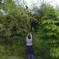 Fred tries to help down a cat up a tree, National Grid Pylon Upgrades, Thrandeston, Suffolk - 30th July 2023