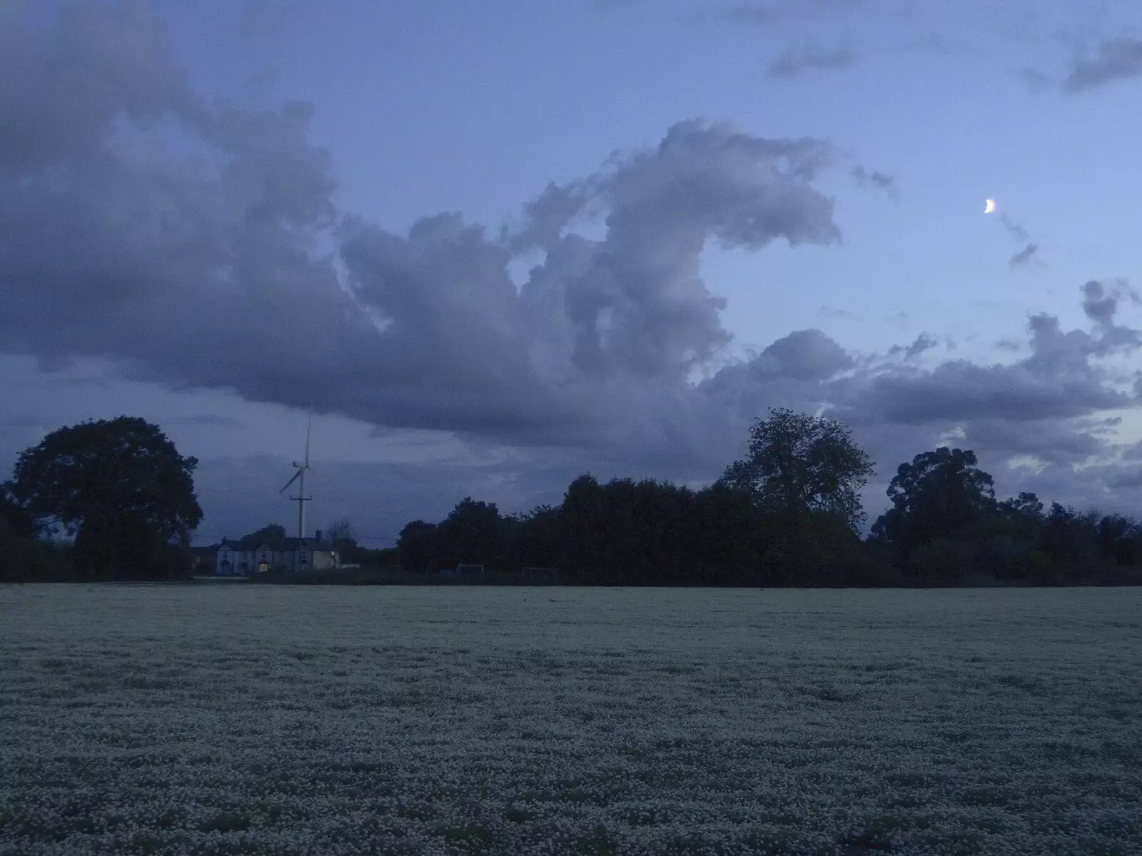 There's a crescent moon over the chamomile field, from National Grid Pylon Upgrades, Thrandeston, Suffolk - 30th July 2023