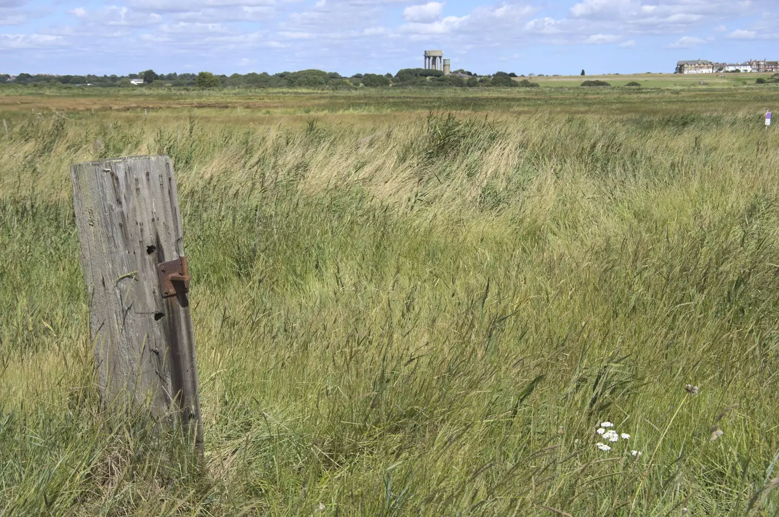 A wooden post in Southwold Marshes, from The Irish Massive do Framlingham and Southwold, Suffolk - 9th August 2023