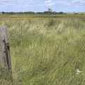A wooden post in Southwold Marshes, The Irish Massive do Framlingham and Southwold, Suffolk - 9th August 2023