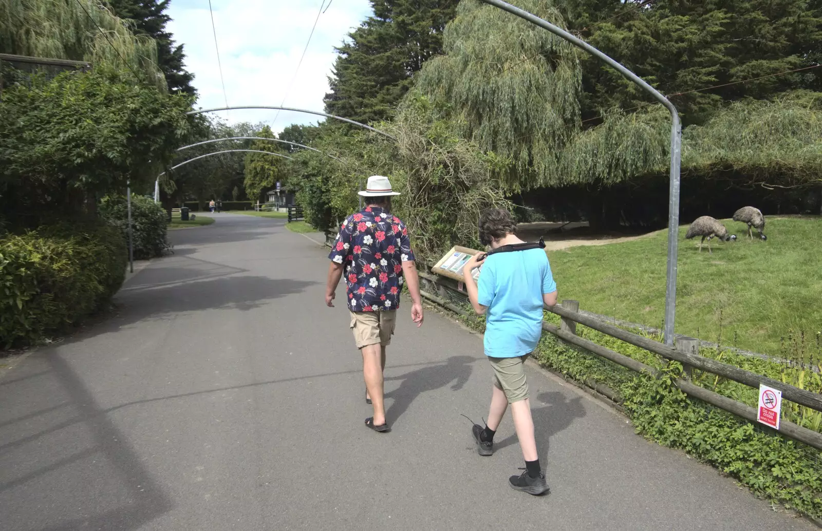 Noddy and Fred stride around Banham Zoo, from Banham Zoo and the Howler Monkeys, Banham, Norfolk - 11th August 2023