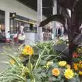 Nice flowers in a tub in Chapelfield, Shoe Shopping in Norwich, Norfolk - 16th August 2023