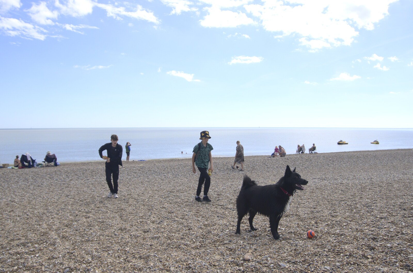 Harry follows Tia the dog around from A Cambridge Reunion on the Beach, Dunwich, Suffolk - 23rd August 2023