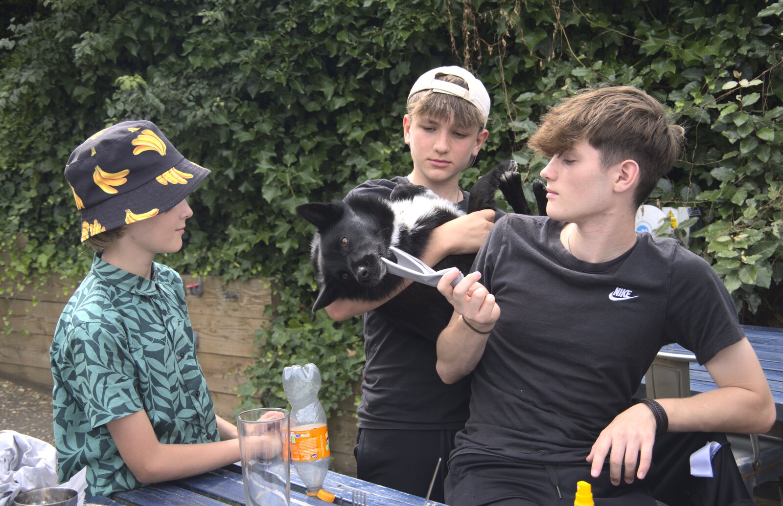 Harry and the boys mess around with the dog from A Cambridge Reunion on the Beach, Dunwich, Suffolk - 23rd August 2023