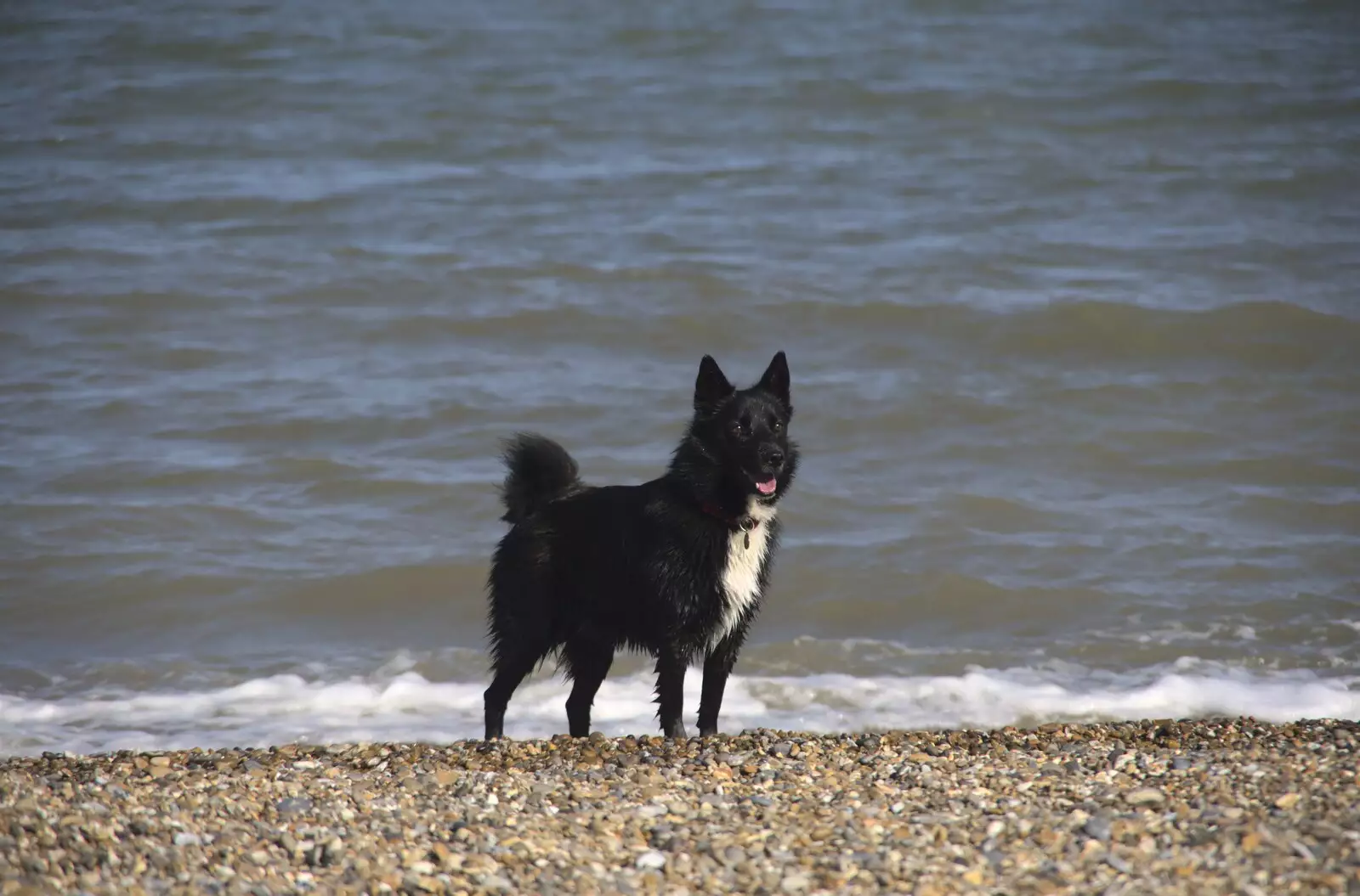 Tia on the beach, from A Cambridge Reunion on the Beach, Dunwich, Suffolk - 23rd August 2023