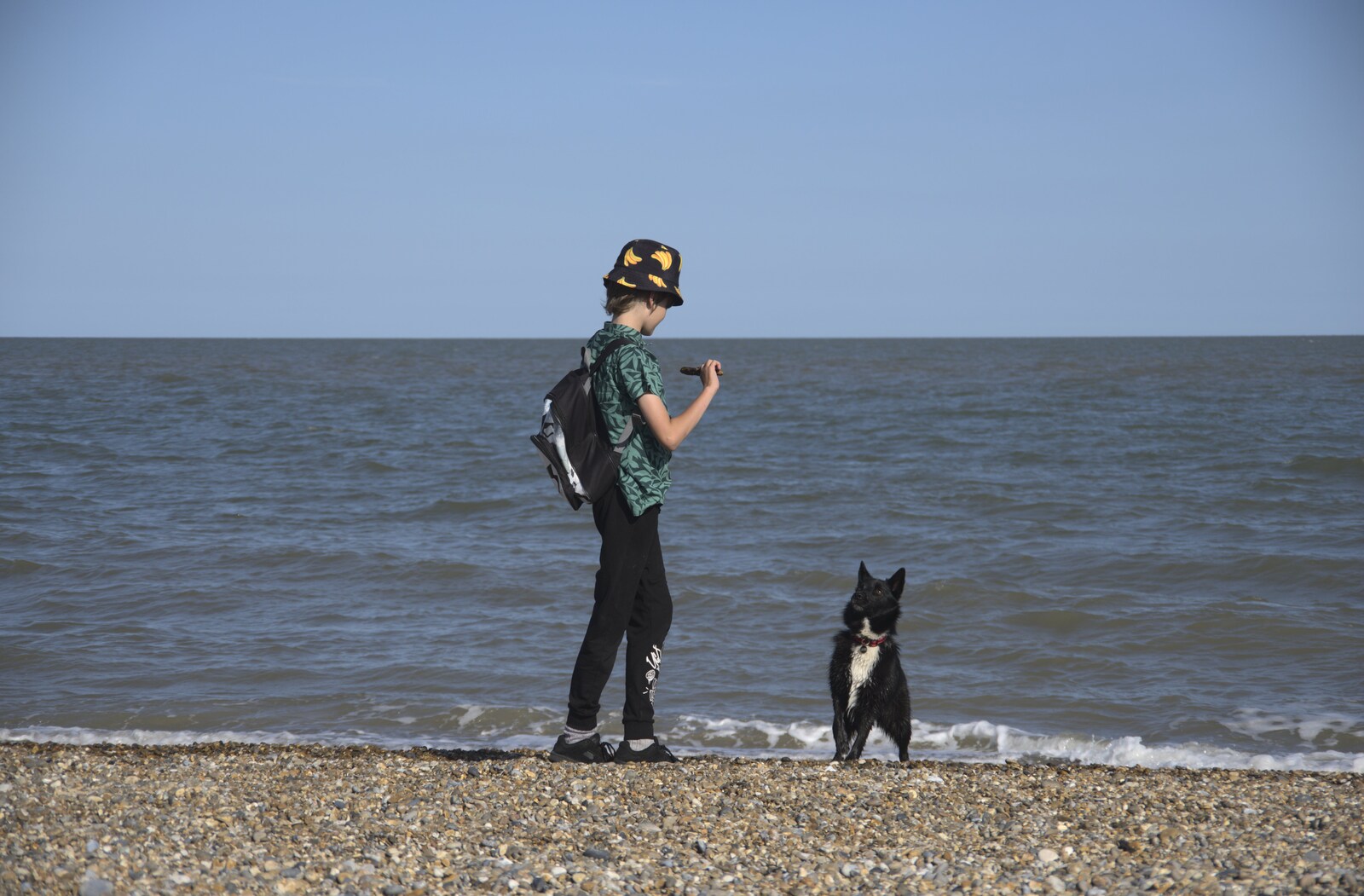 Harry interacts with the dog from A Cambridge Reunion on the Beach, Dunwich, Suffolk - 23rd August 2023