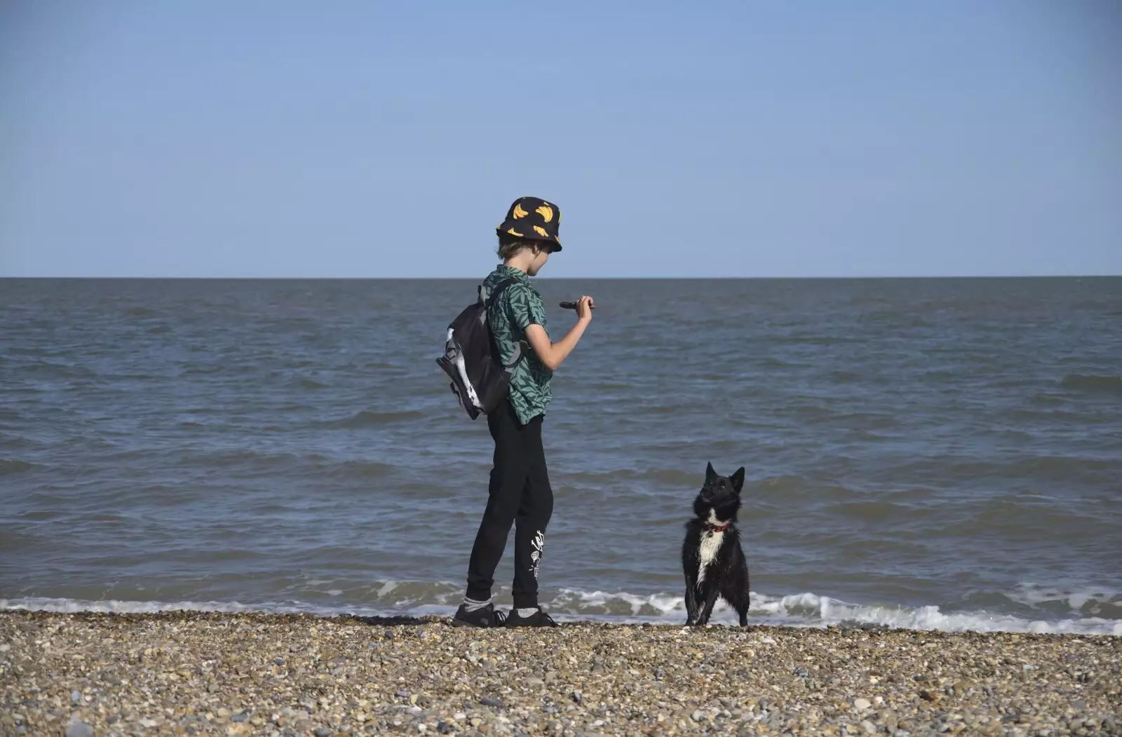 Harry interacts with the dog, from A Cambridge Reunion on the Beach, Dunwich, Suffolk - 23rd August 2023