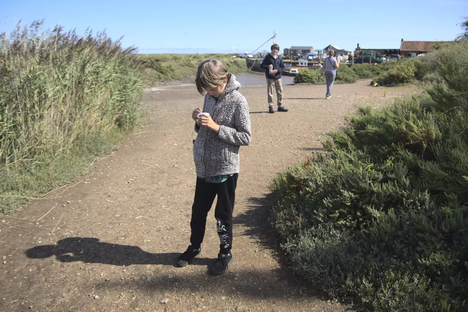 Harry looks at his tub of cockles, from Camping on the Edge at Snettisham Beach, Norfolk - 28th August 2023