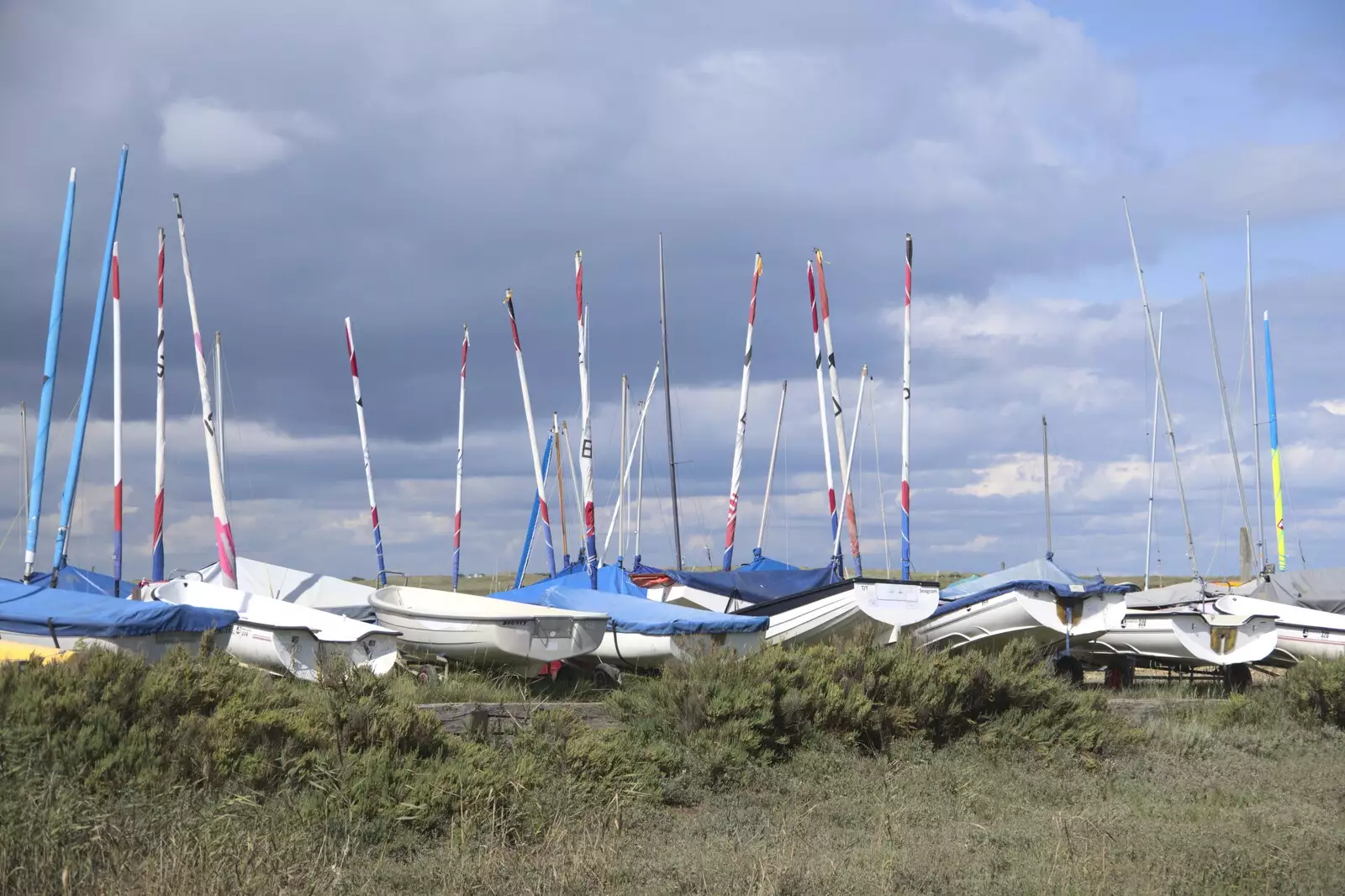 A squadron of Topper dinghies, from Camping on the Edge at Snettisham Beach, Norfolk - 28th August 2023