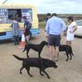 Three black labradors mill around, Camping on the Edge at Snettisham Beach, Norfolk - 28th August 2023
