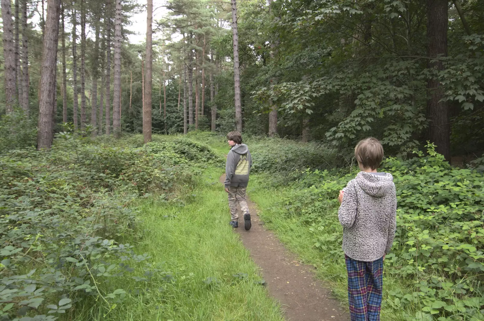 We head of for a walk in the forest, from Camping on the Edge at Snettisham Beach, Norfolk - 28th August 2023