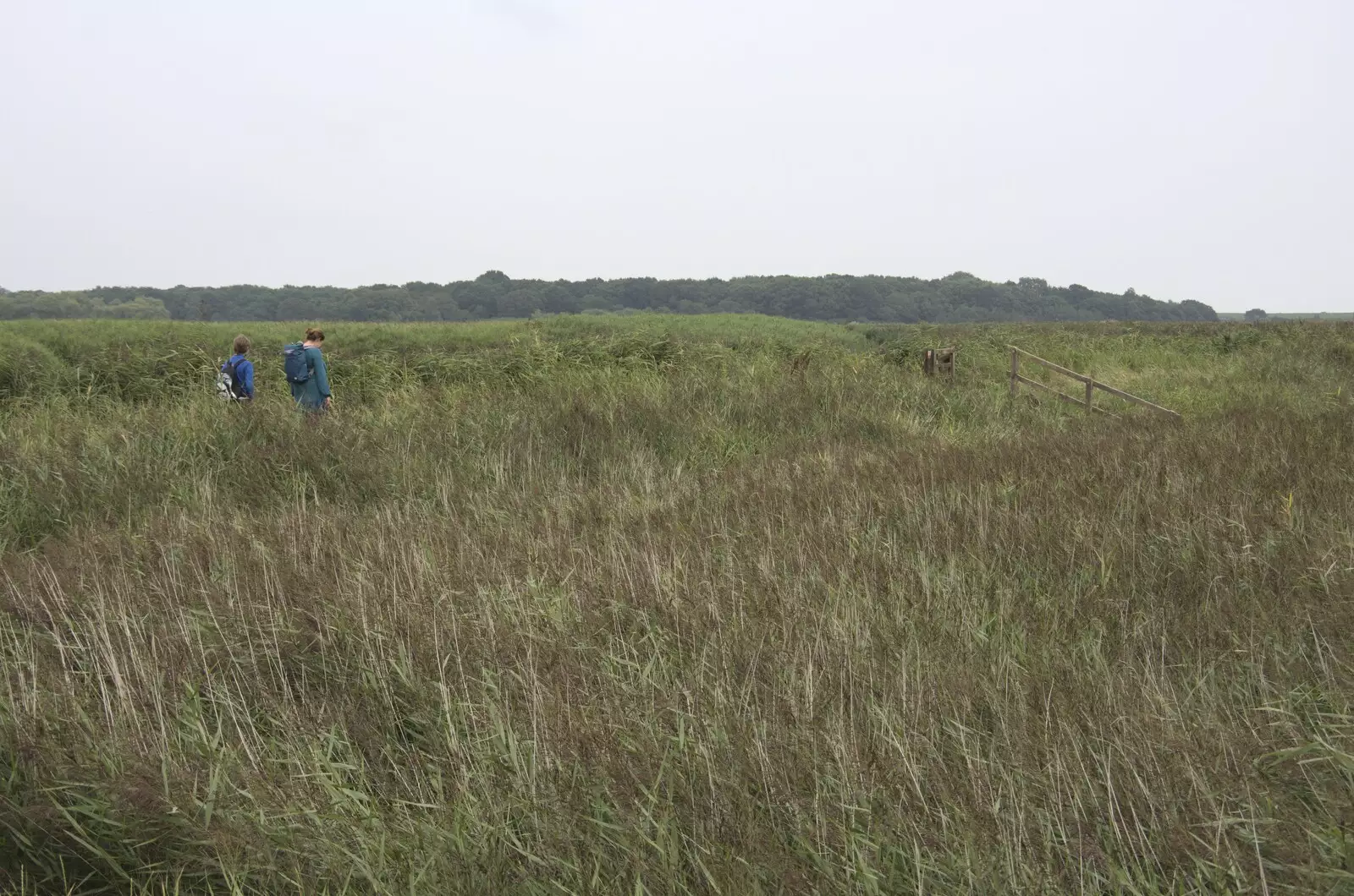 In the marshes by the River Alde, from Fred and the SYWO at Snape Maltings, Snape, Suffolk - 3rd September 2023