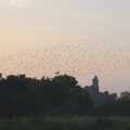 There's a lovely mumuration over the marshes, Fred and the SYWO at Snape Maltings, Snape, Suffolk - 3rd September 2023