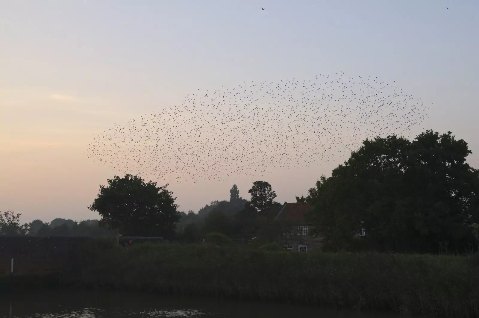 The murmuration drifts a bit further away, from Fred and the SYWO at Snape Maltings, Snape, Suffolk - 3rd September 2023