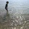 Harry paddles in the crystal-clear sea, A Postcard From Felixstowe Ferry, Suffolk - 10th September 2023