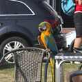 Someone's bought a Macaw to the pub, A Postcard From Felixstowe Ferry, Suffolk - 10th September 2023