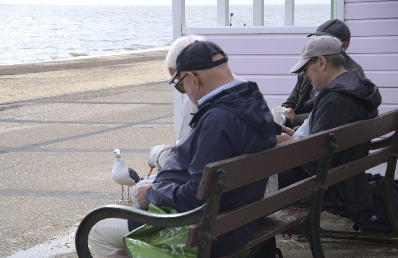 A seagull looks for scraps from The Waverley Paddle Steamer at Southwold Pier, Suffolk - 27th September 2023