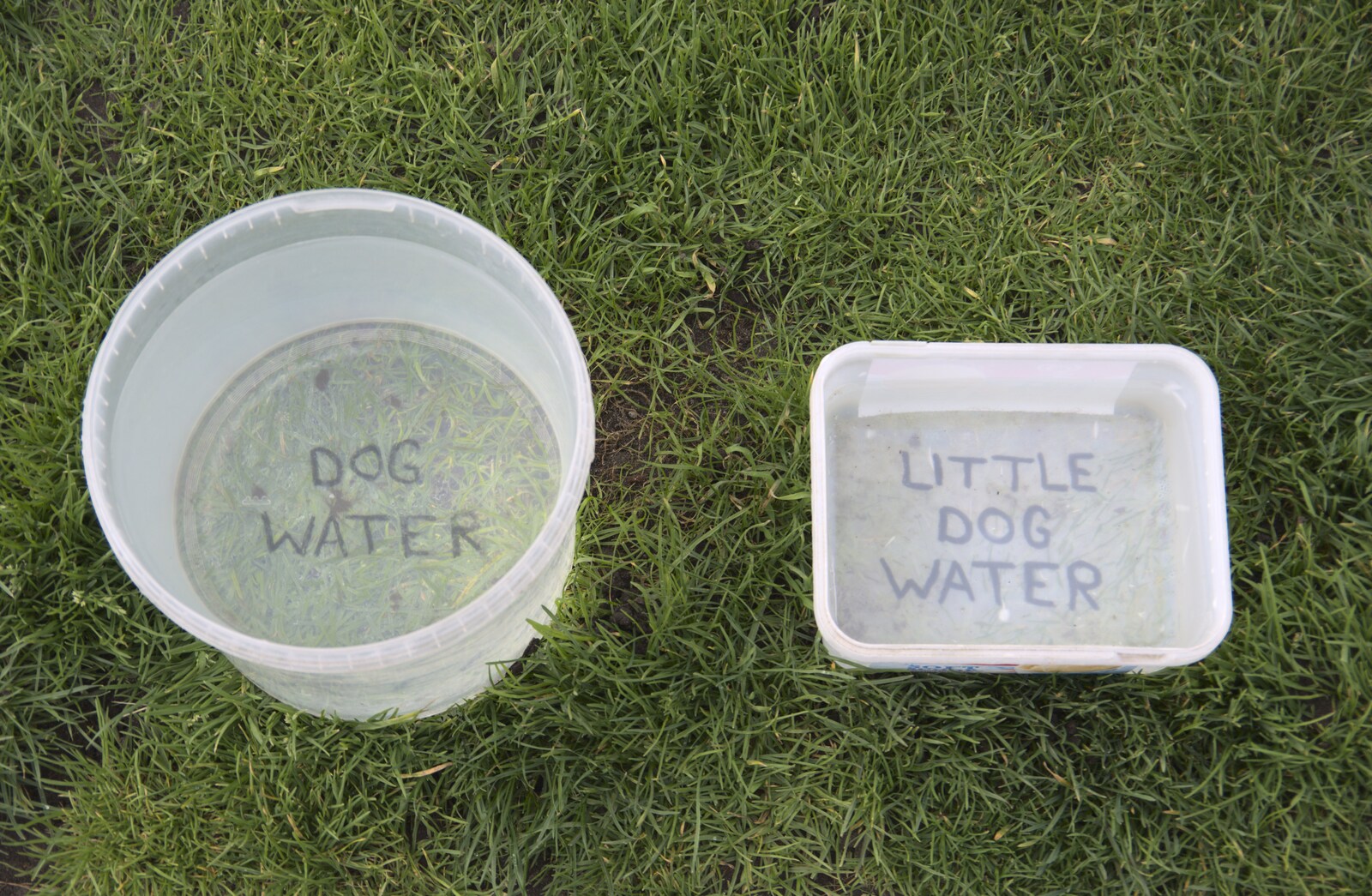 Cute water bowls for dogs from The Waverley Paddle Steamer at Southwold Pier, Suffolk - 27th September 2023