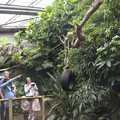 Someone points at the sloth, Another Afternoon at the Zoo, Banham, Norfolk - 1st October 2023