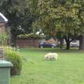 There's a sheep statue endlessly grazing, A Postcard From New Buckenham, Norfolk - 5th October 2023