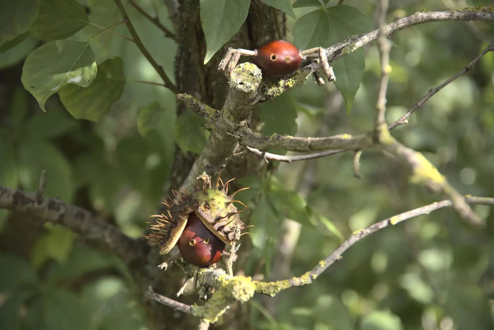 Two more creature creations in an apple tree, from A Postcard From New Buckenham, Norfolk - 5th October 2023