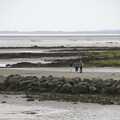 Nic, Lua and Harry are off on the sands, A Day in Blackrock North, County Louth, Ireland - 7th October 2023