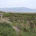 Harry, Annalua and Isobel walk along the path, A Day in Blackrock North, County Louth, Ireland - 7th October 2023