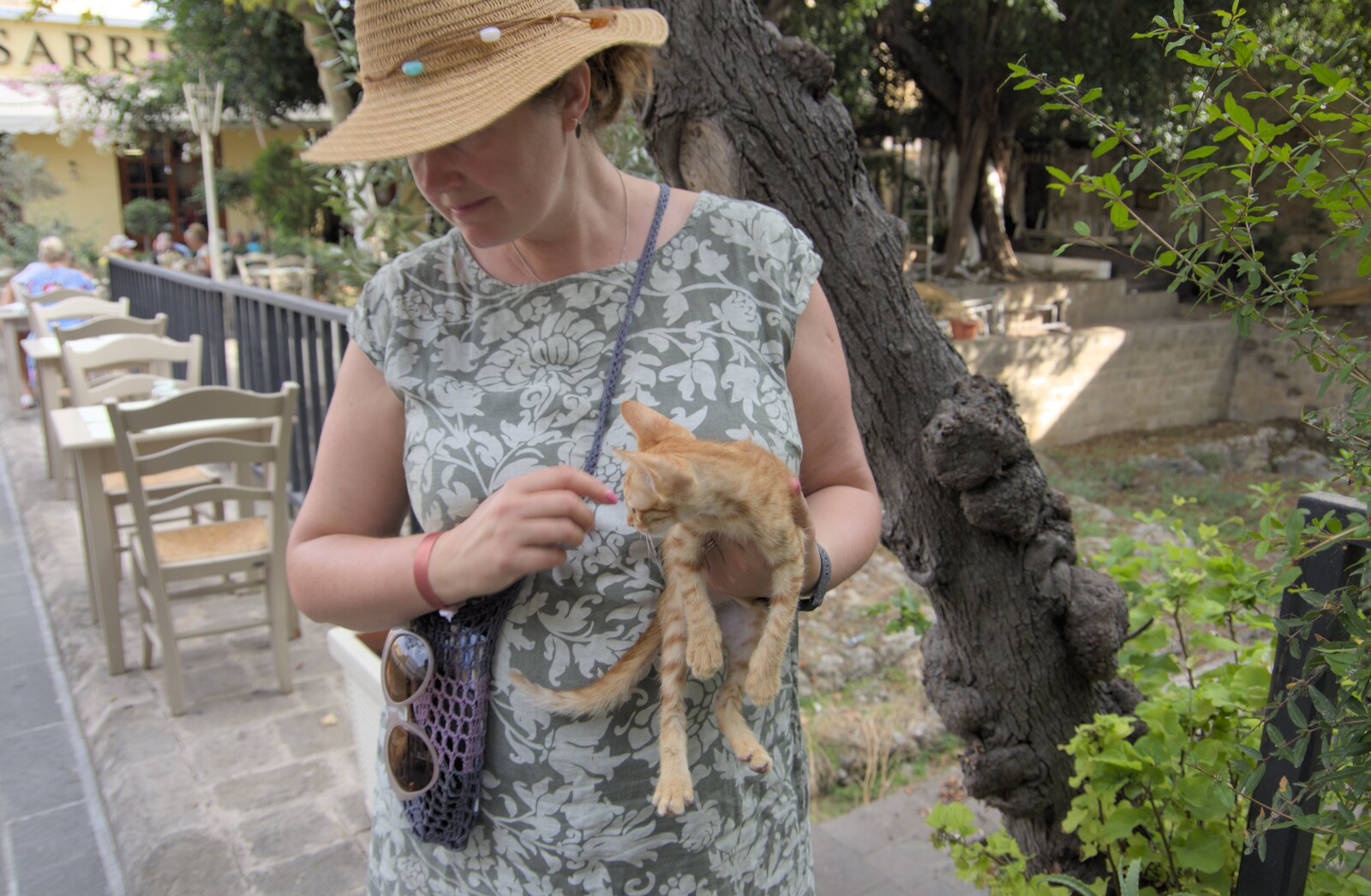 Isobel finds a very wiry kitten from The Cats of Rhodes, Ρόδος, Greece - 24th October 2023