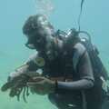 A diver floats by with a lobster, The Cats of Rhodes, Ρόδος, Greece - 24th October 2023