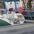 A cat walks onto a boat for a look, The Cats of Rhodes, Ρόδος, Greece - 24th October 2023