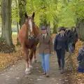 An enormous Suffolk Punch clops up the avenue, A B-17 Memorial, The Oaksmere Hotel, Brome, Suffolk - 10th November 2023