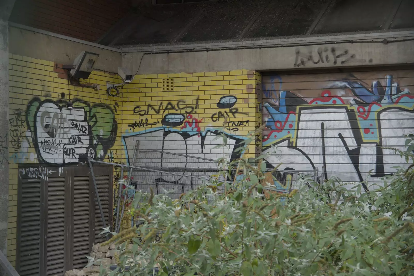 Plants grow up through the concrete in places, from The Graffiti of HMSO and Anglia Square, Coslany, Norwich - 22nd November 2023