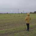 Harry watches the sheep for a bit, The GSB and the Christmas Pudding Mixing, Wickham Skeith, Suffolk - 25th November 2023