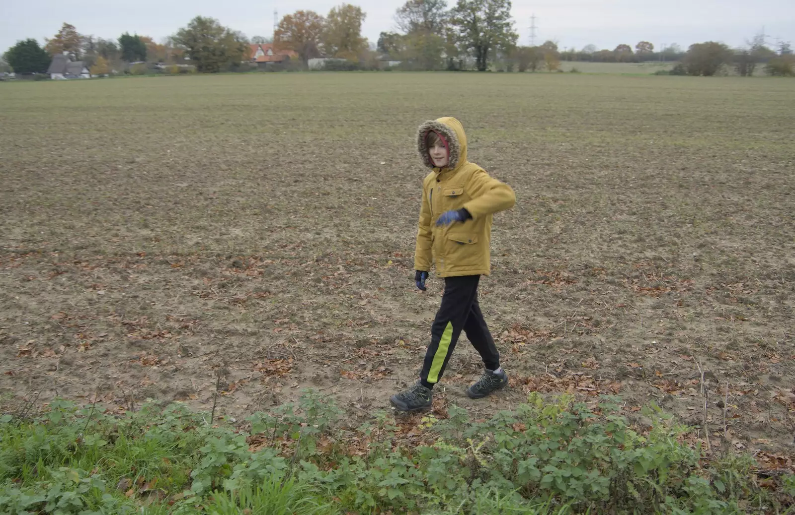 Harry in another field, from The GSB and the Christmas Pudding Mixing, Wickham Skeith, Suffolk - 25th November 2023