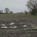 Some of the fields are really churned up, A Walk to the Swan, Hoxne, Suffolk - 1st January 2024