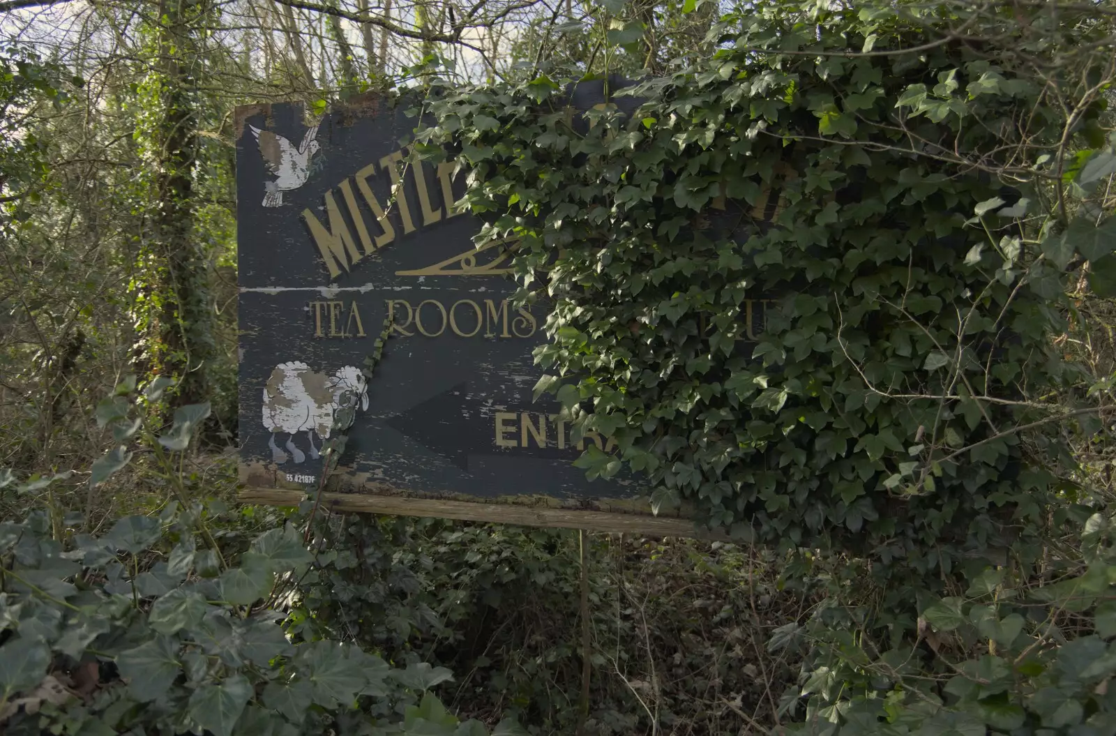 A derelict sign for a tea rooms in Mistley, from A Postcard from Manningtree, Essex - 9th January 2024