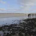 Looking out across the shoreline to the Stour, A Postcard from Manningtree, Essex - 9th January 2024