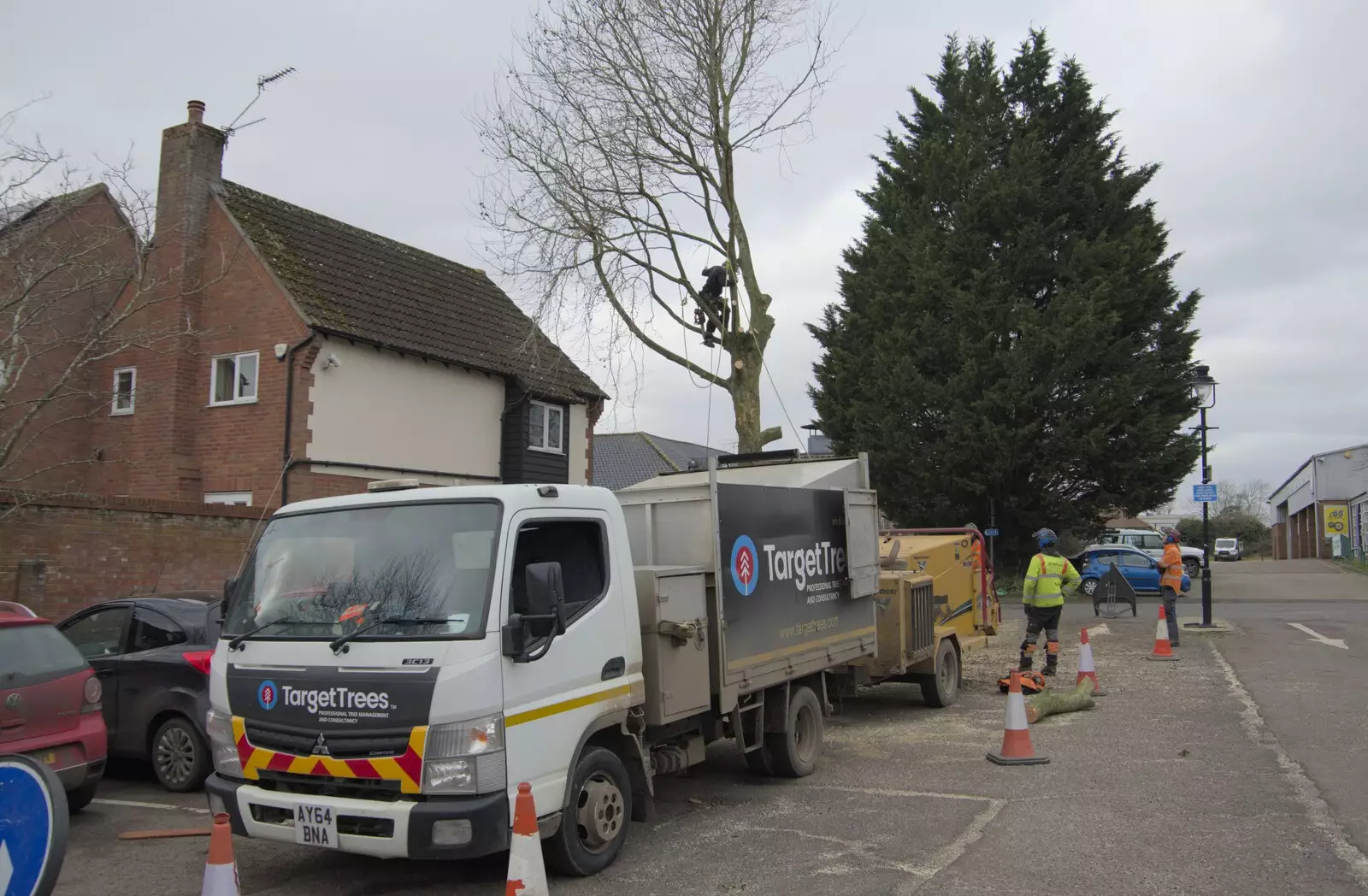 A tree is being cut down by Shelfanger car park, from A February Miscellany, Diss and Woodbridge, Suffolk - 3rd February 2024