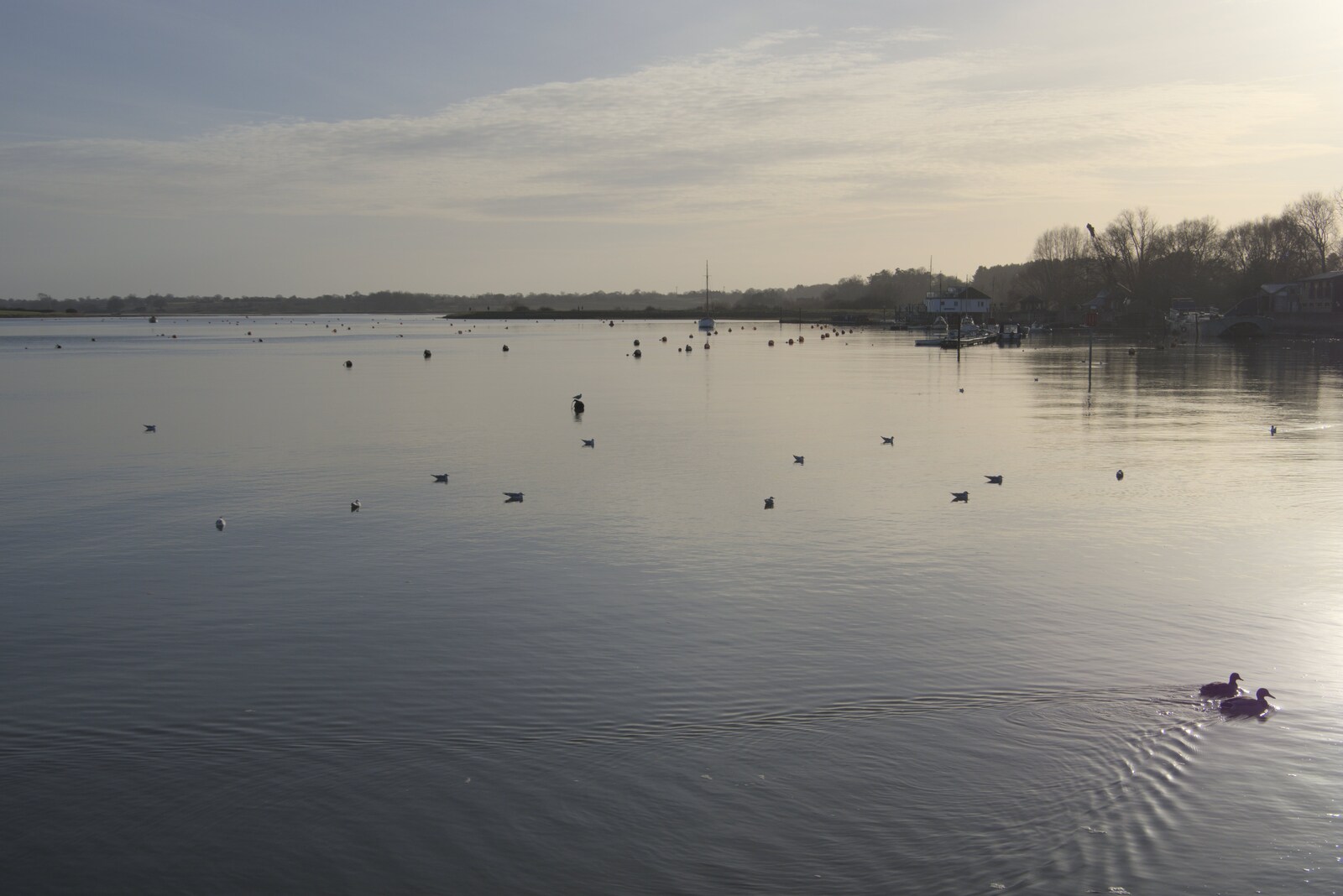 The River Deben from A February Miscellany, Diss and Woodbridge, Suffolk - 3rd February 2024