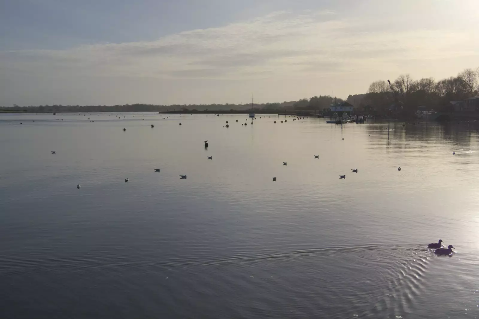 The River Deben, from A February Miscellany, Diss and Woodbridge, Suffolk - 3rd February 2024