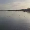 The River Deben, A February Miscellany, Diss and Woodbridge, Suffolk - 3rd February 2024