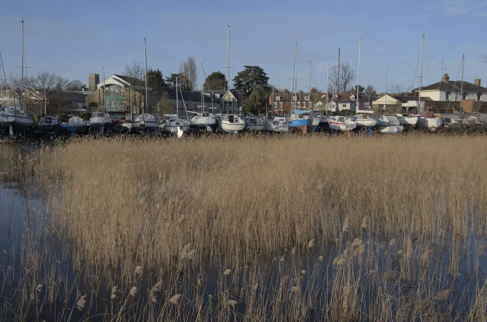 More reeds and boats, from A February Miscellany, Diss and Woodbridge, Suffolk - 3rd February 2024
