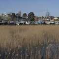 More reeds and boats, A February Miscellany, Diss and Woodbridge, Suffolk - 3rd February 2024